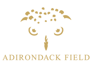 Adirondack Field