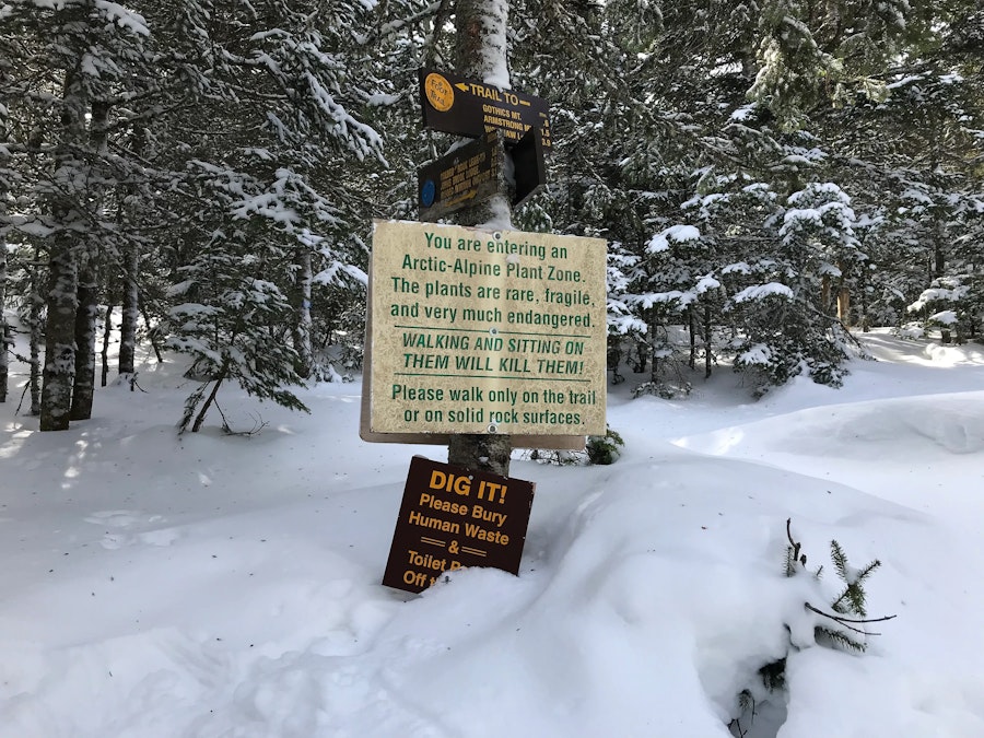 A warning sign, mostly buried in snow, about entering the alpine zone.