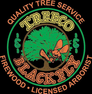 Treeco Black Fly logo featuring a green tree and a cartoon fly holding a chainsaw, surrounded by tree service lettering.